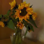 Cityappartement Am Theaterplatz アパート