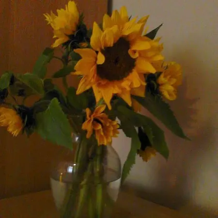 Cityappartement Am Theaterplatz Lägenhet