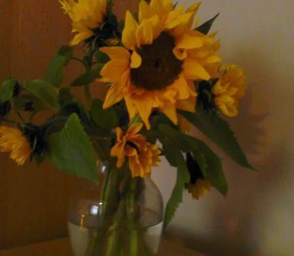 Cityappartement Am Theaterplatz Apartman